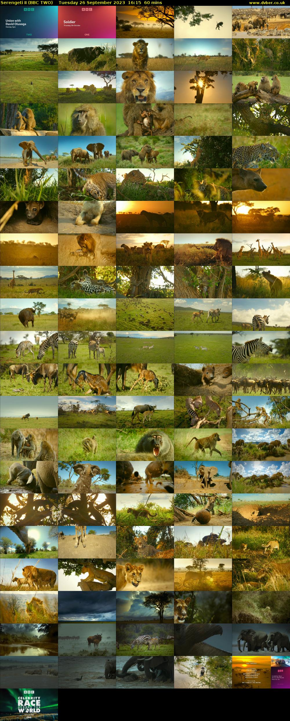 Serengeti II (BBC TWO) Tuesday 26 September 2023 16:15 - 17:15