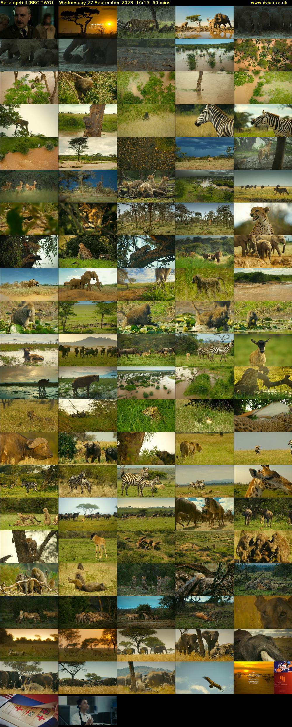 Serengeti II (BBC TWO) Wednesday 27 September 2023 16:15 - 17:15