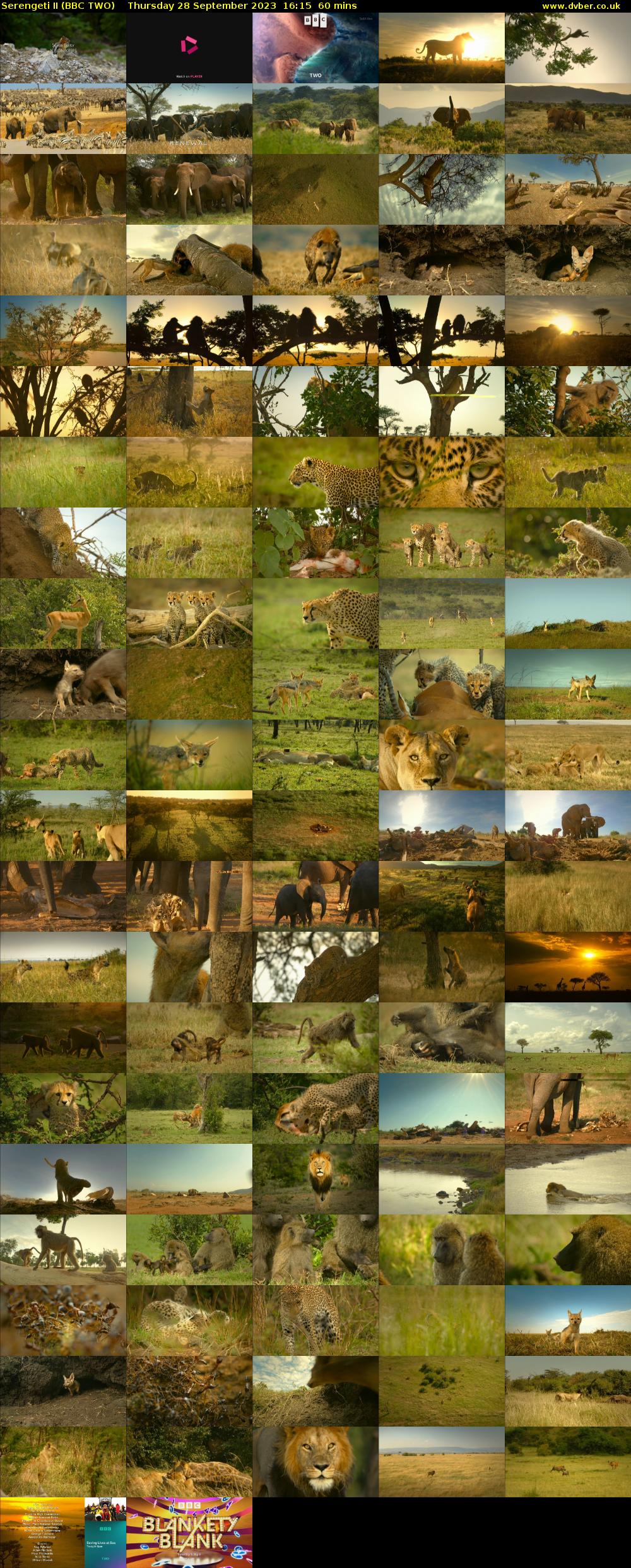 Serengeti II (BBC TWO) Thursday 28 September 2023 16:15 - 17:15