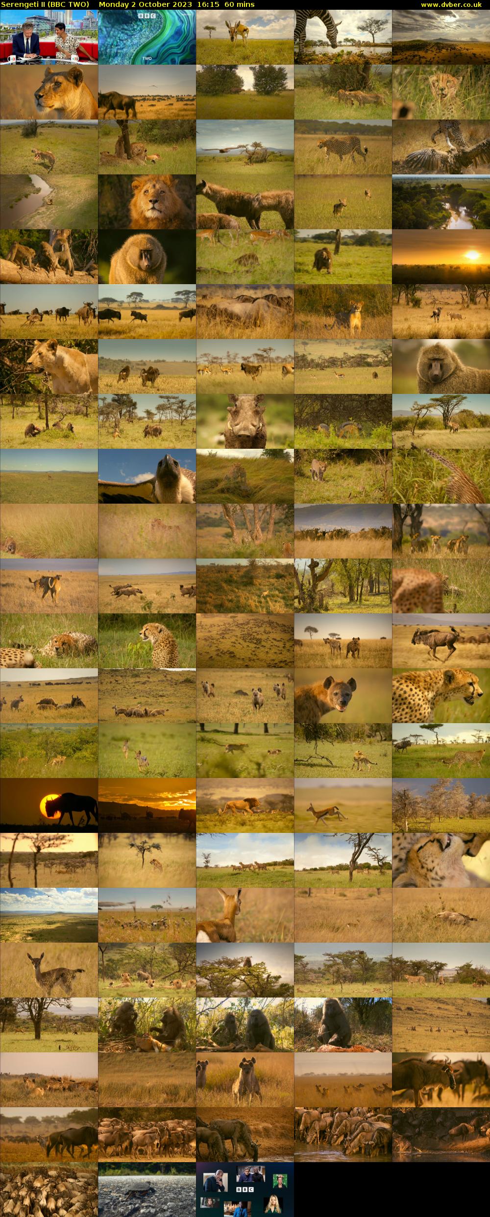 Serengeti II (BBC TWO) Monday 2 October 2023 16:15 - 17:15