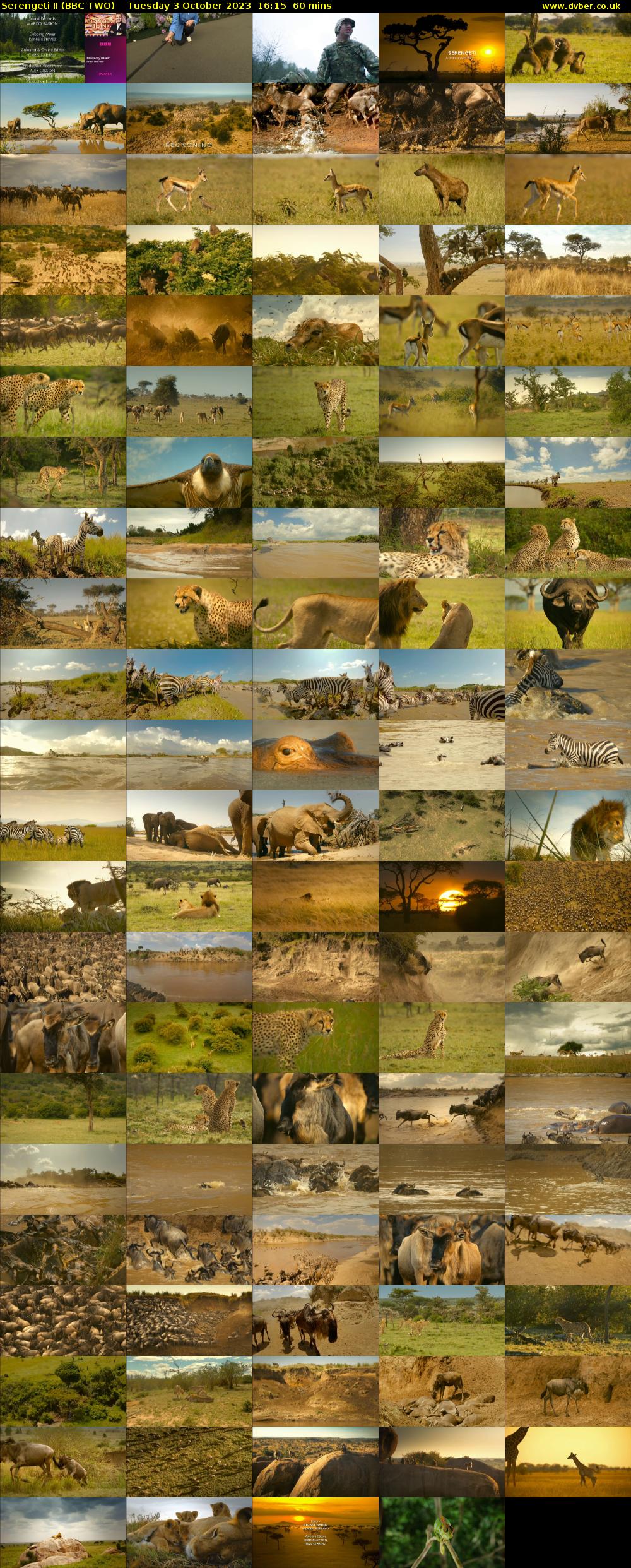 Serengeti II (BBC TWO) Tuesday 3 October 2023 16:15 - 17:15