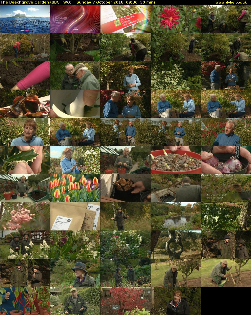 The Beechgrove Garden (BBC TWO) Sunday 7 October 2018 09:30 - 10:00