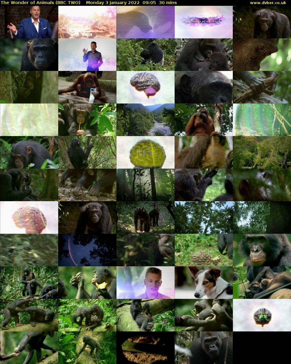 The Wonder of Animals (BBC TWO) Monday 3 January 2022 09:05 - 09:35