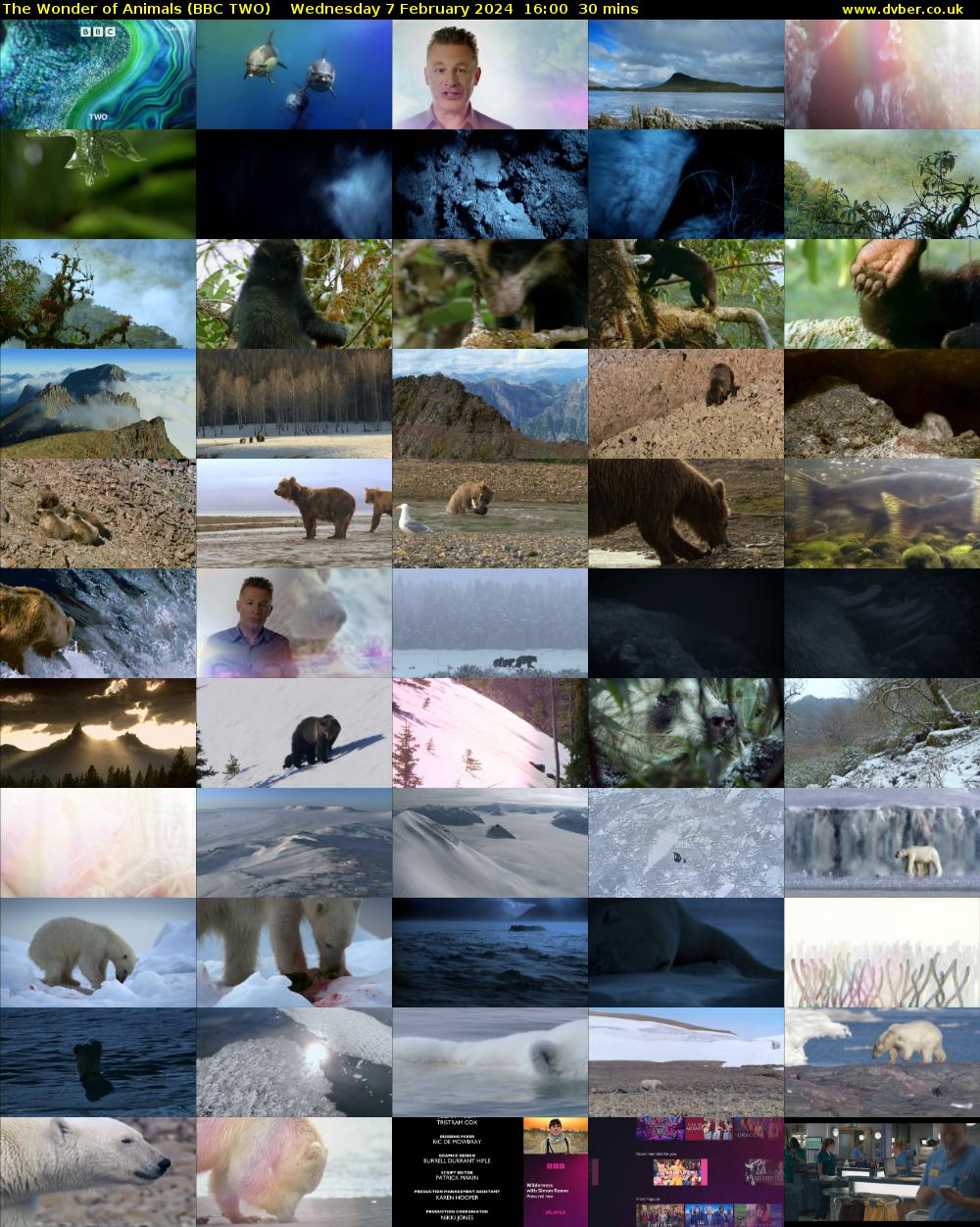 The Wonder of Animals (BBC TWO) Wednesday 7 February 2024 16:00 - 16:30