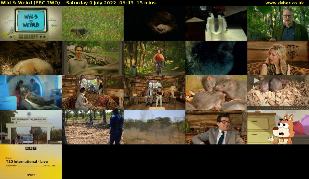 Wild & Weird (BBC TWO) Saturday 9 July 2022 06:45 - 07:00