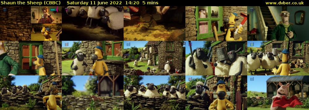 Shaun the Sheep (CBBC) Saturday 11 June 2022 14:20 - 14:25