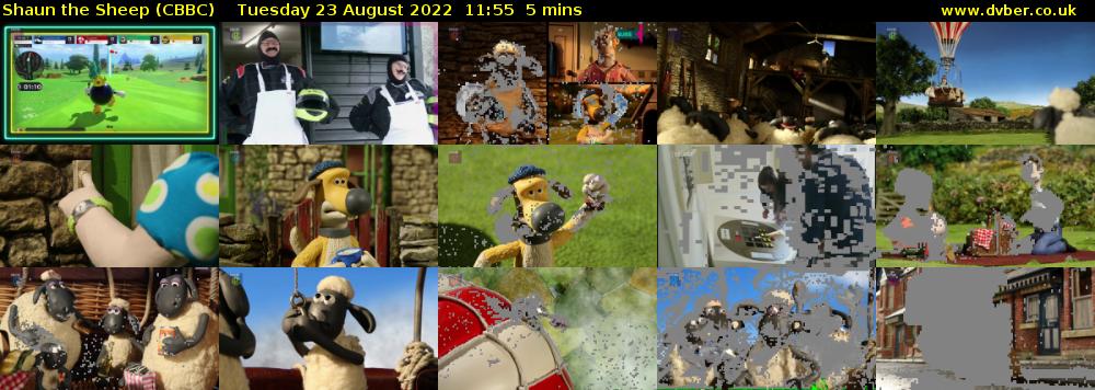 Shaun the Sheep (CBBC) Tuesday 23 August 2022 11:55 - 12:00