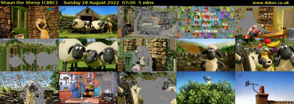 Shaun the Sheep (CBBC) Sunday 28 August 2022 07:00 - 07:05