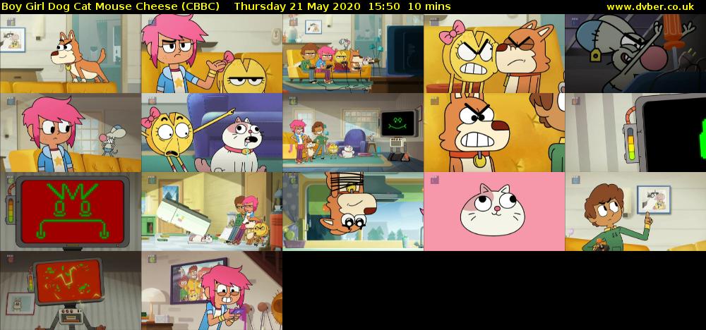 Boy Girl Dog Cat Mouse Cheese (CBBC) Thursday 21 May 2020 15:50 - 16:00