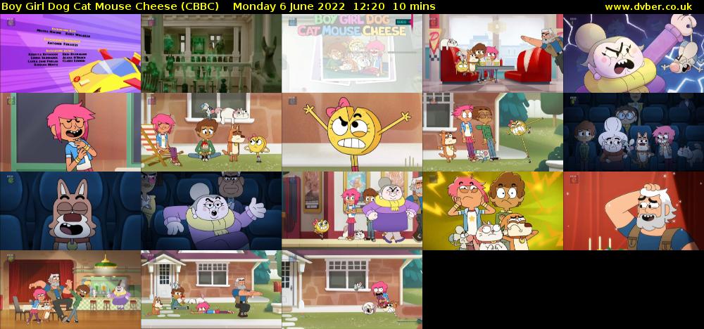 Boy Girl Dog Cat Mouse Cheese (CBBC) Monday 6 June 2022 12:20 - 12:30