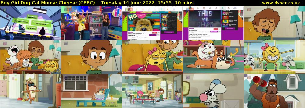 Boy Girl Dog Cat Mouse Cheese (CBBC) Tuesday 14 June 2022 15:55 - 16:05