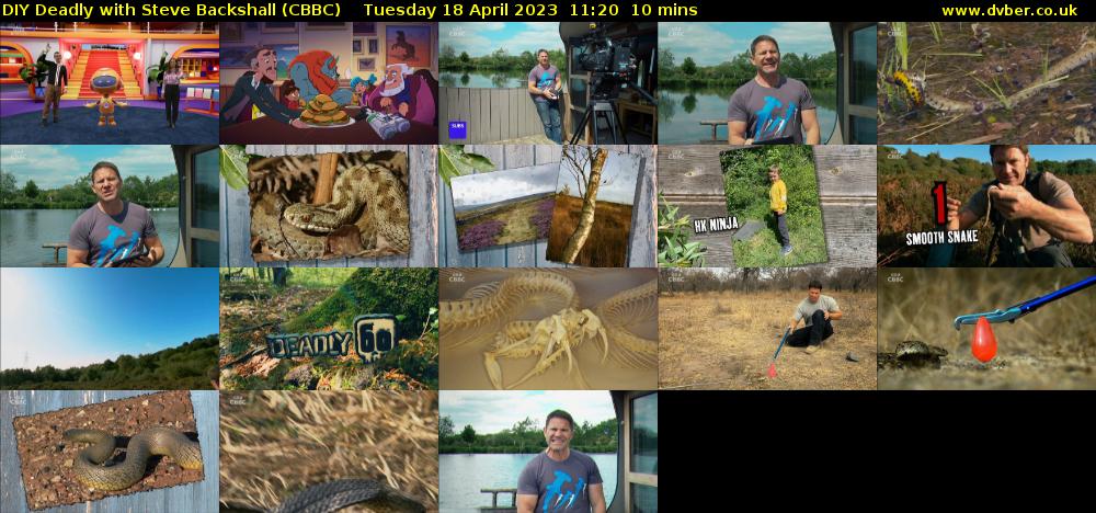 DIY Deadly with Steve Backshall (CBBC) Tuesday 18 April 2023 11:20 - 11:30