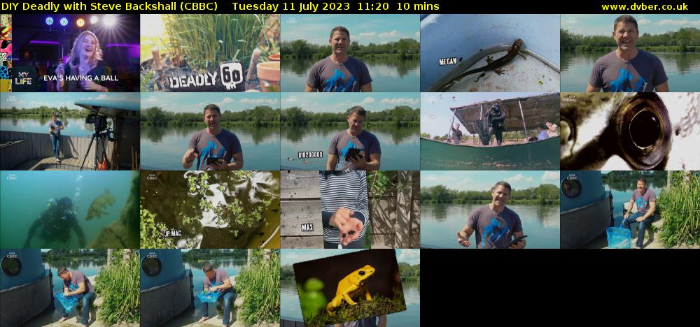 DIY Deadly with Steve Backshall (CBBC) Tuesday 11 July 2023 11:20 - 11:30
