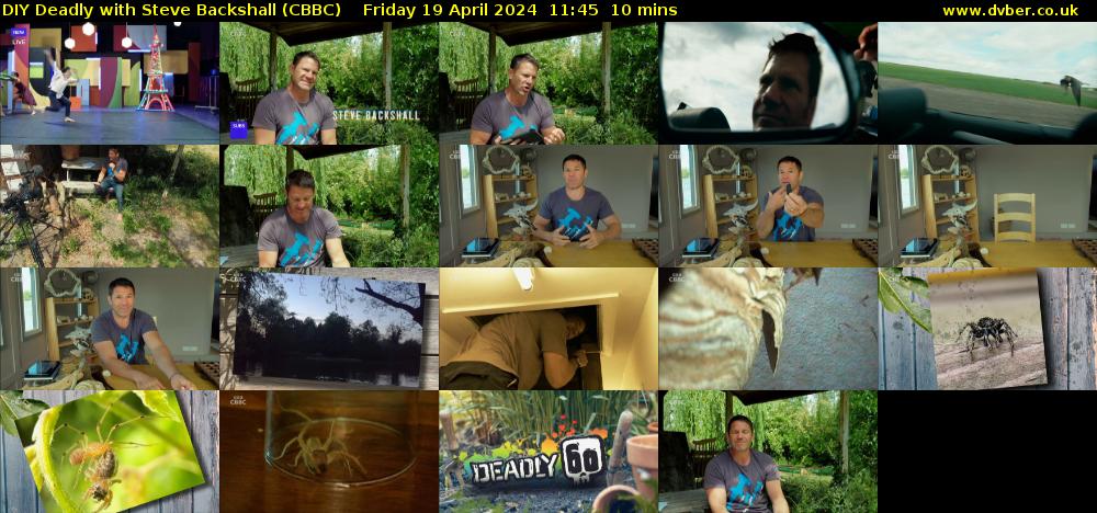 DIY Deadly with Steve Backshall (CBBC) Friday 19 April 2024 11:45 - 11:55