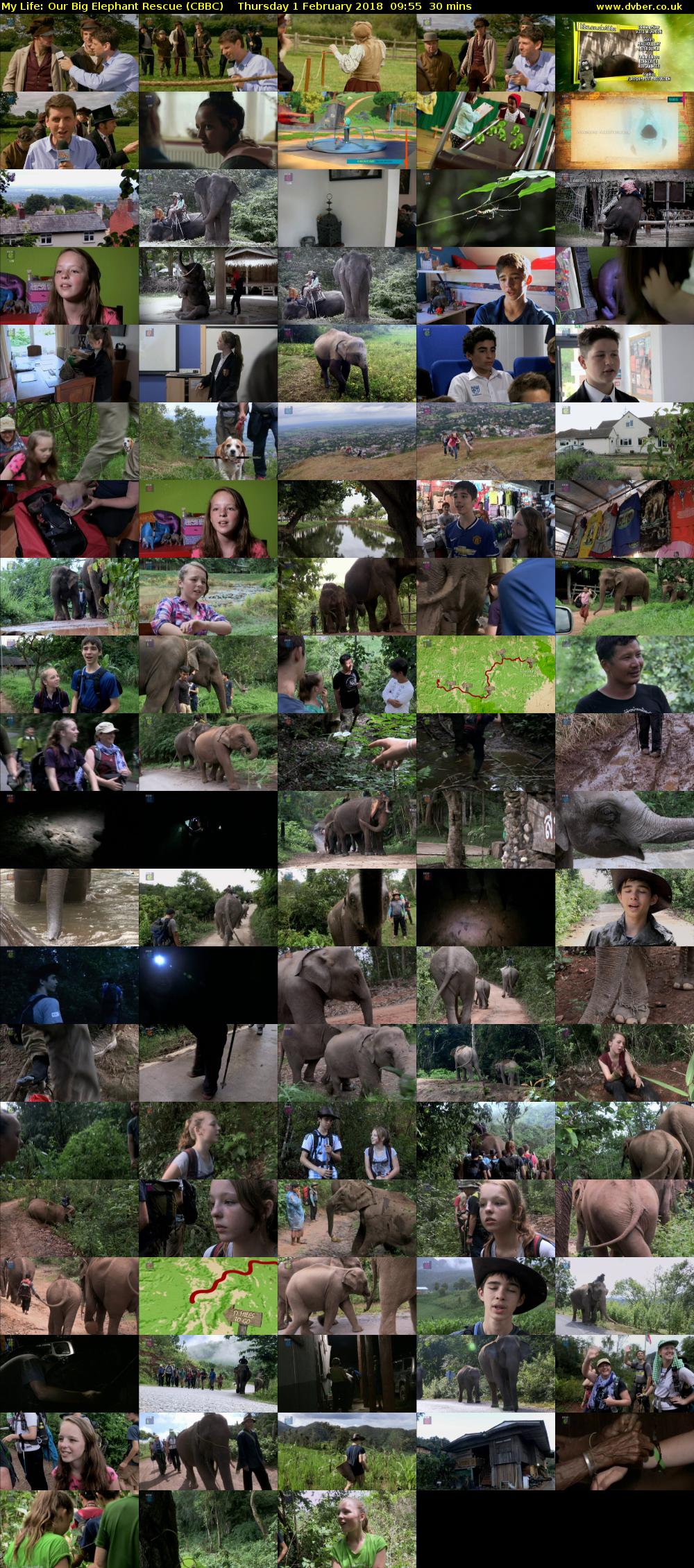 My Life: Our Big Elephant Rescue (CBBC) Thursday 1 February 2018 09:55 - 10:25