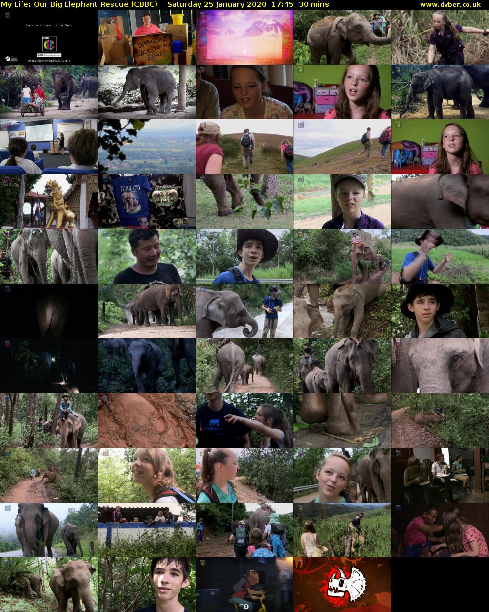 My Life: Our Big Elephant Rescue (CBBC) Saturday 25 January 2020 17:45 - 18:15