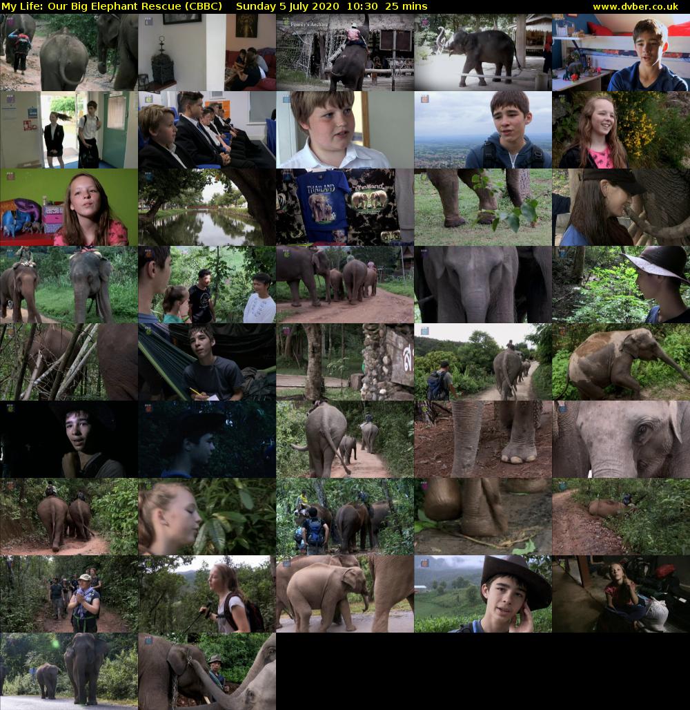 My Life: Our Big Elephant Rescue (CBBC) Sunday 5 July 2020 10:30 - 10:55