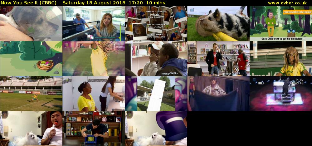 Now You See It (CBBC) Saturday 18 August 2018 17:20 - 17:30