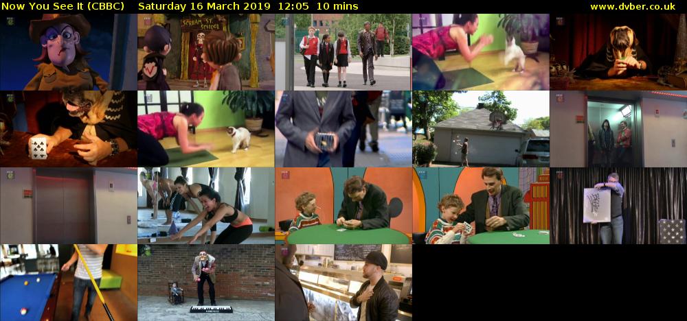 Now You See It (CBBC) Saturday 16 March 2019 12:05 - 12:15