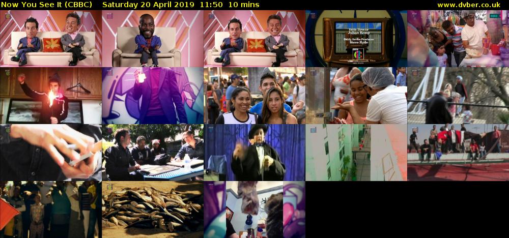 Now You See It (CBBC) Saturday 20 April 2019 11:50 - 12:00