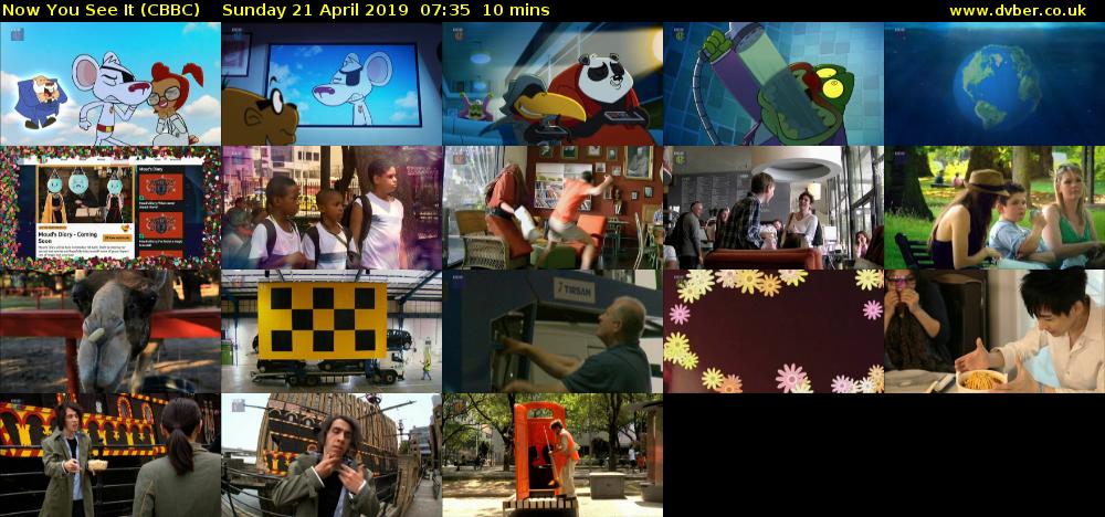 Now You See It (CBBC) Sunday 21 April 2019 07:35 - 07:45