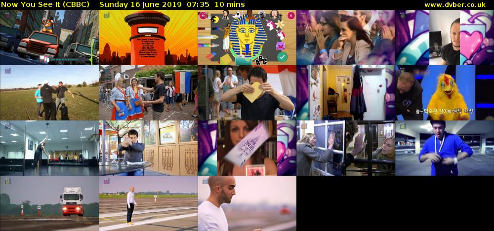 Now You See It (CBBC) Sunday 16 June 2019 07:35 - 07:45