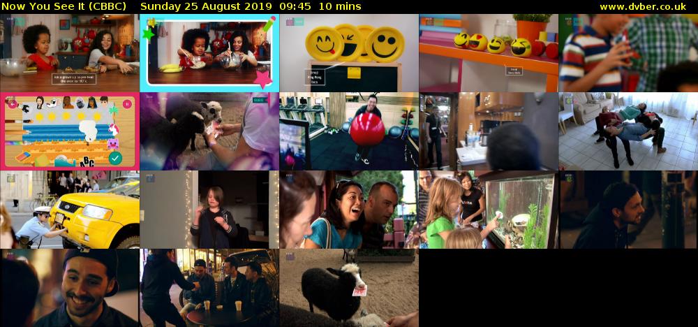 Now You See It (CBBC) Sunday 25 August 2019 09:45 - 09:55