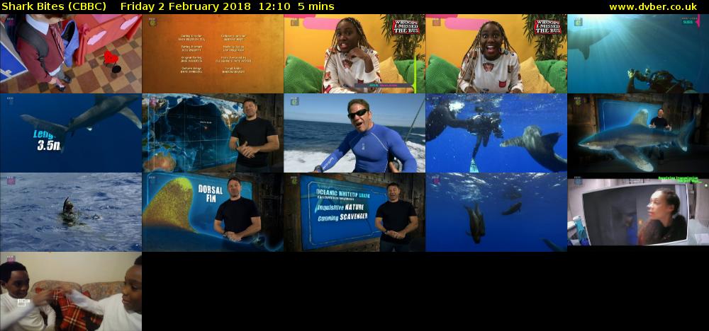 Shark Bites (CBBC) Friday 2 February 2018 12:10 - 12:15