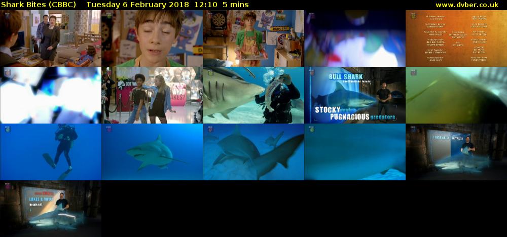 Shark Bites (CBBC) Tuesday 6 February 2018 12:10 - 12:15
