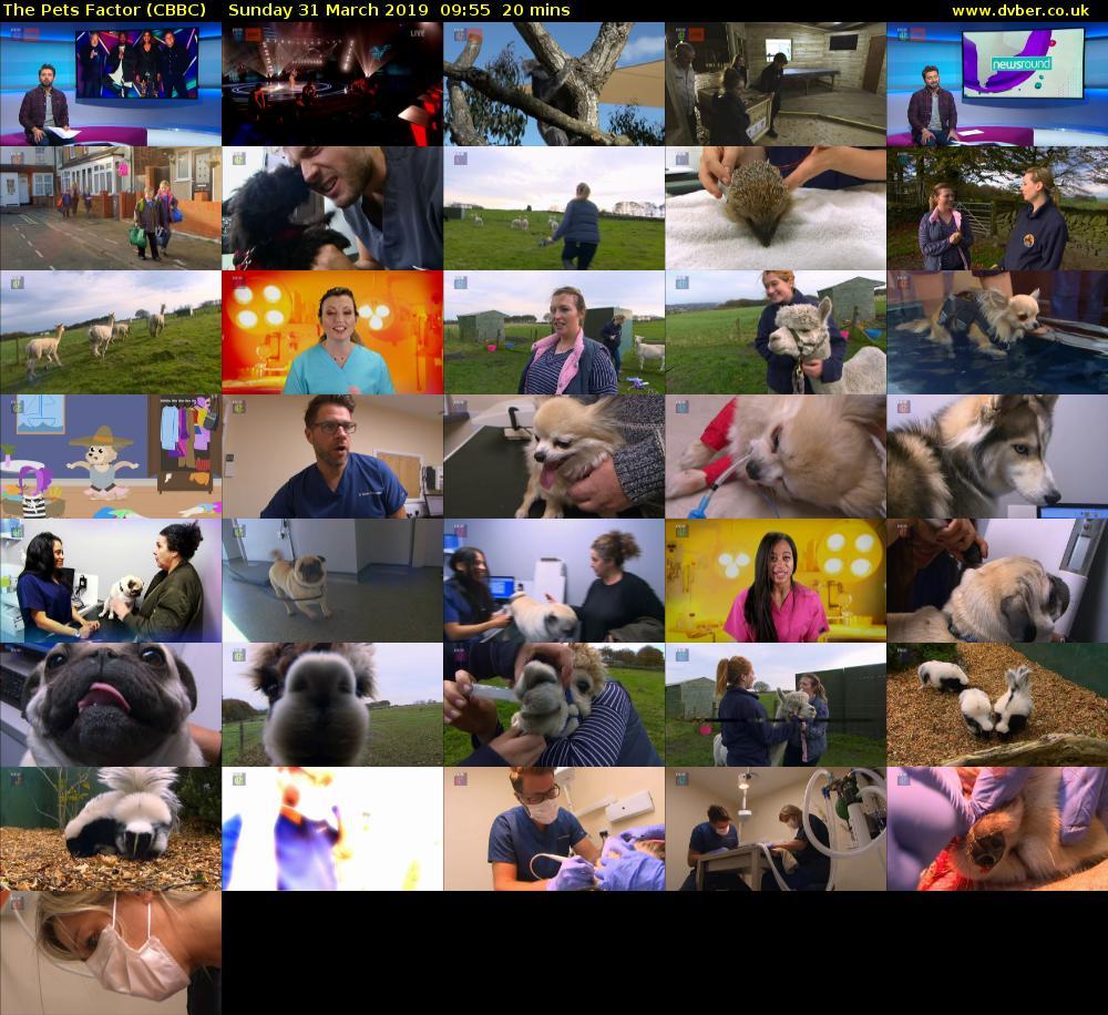The Pets Factor (CBBC) Sunday 31 March 2019 09:55 - 10:15