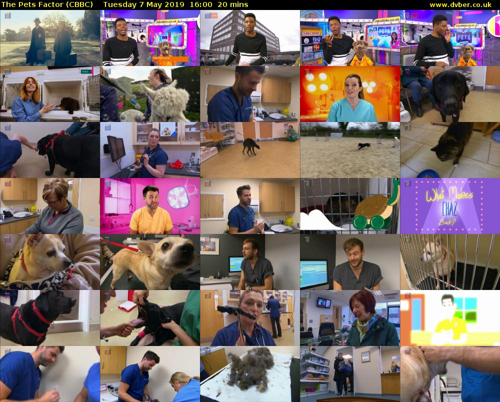 The Pets Factor (CBBC) Tuesday 7 May 2019 16:00 - 16:20
