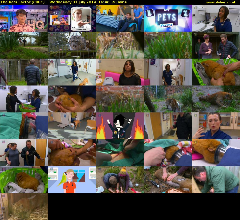 The Pets Factor (CBBC) Wednesday 31 July 2019 16:40 - 17:00