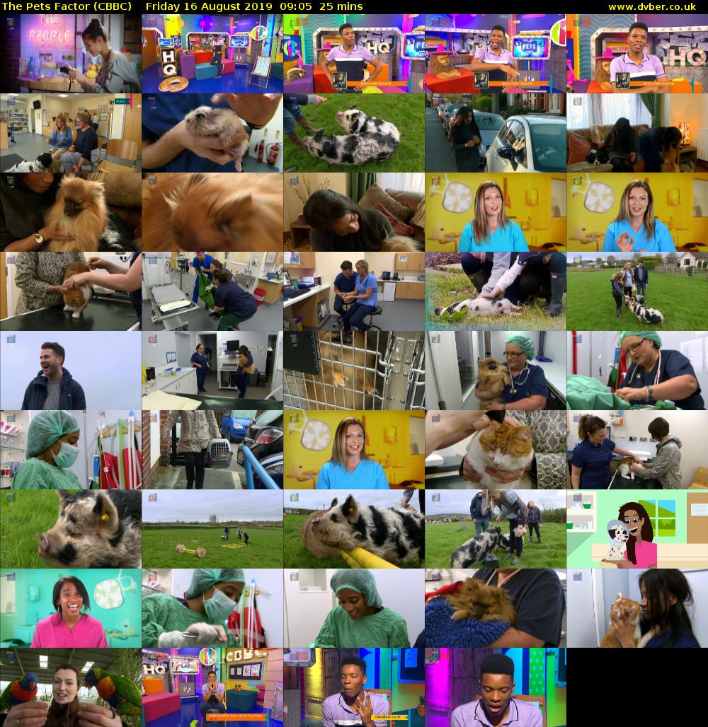 The Pets Factor (CBBC) Friday 16 August 2019 09:05 - 09:30