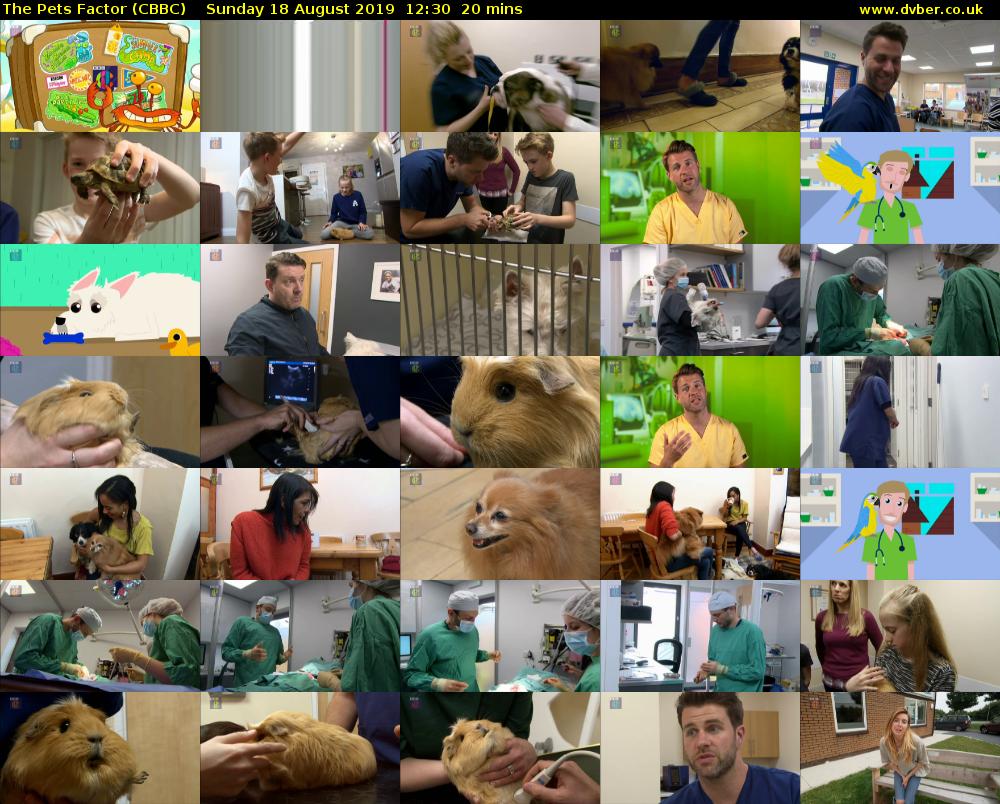 The Pets Factor (CBBC) Sunday 18 August 2019 12:30 - 12:50