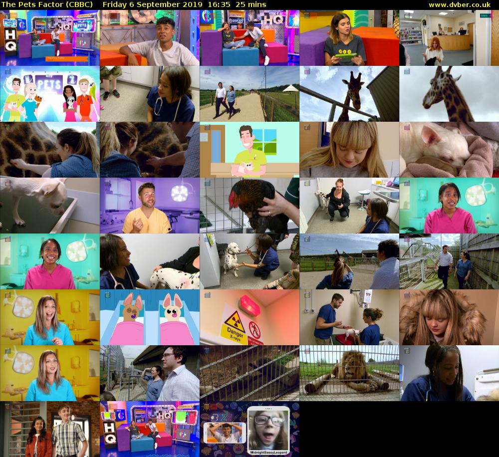 The Pets Factor (CBBC) Friday 6 September 2019 16:35 - 17:00