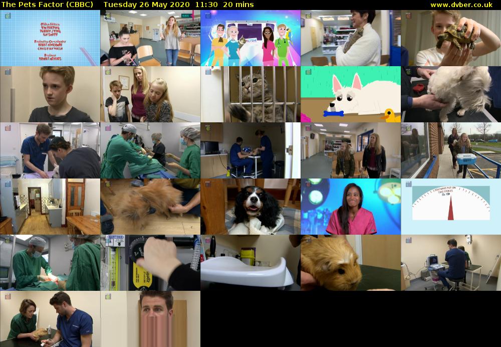 The Pets Factor (CBBC) Tuesday 26 May 2020 11:30 - 11:50
