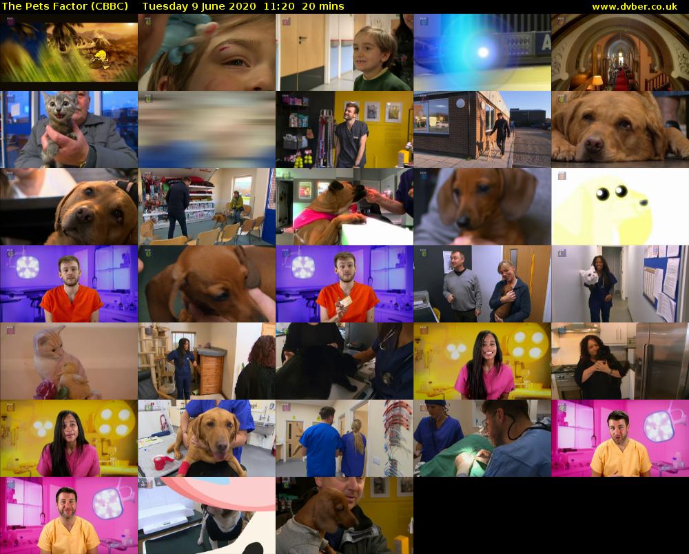 The Pets Factor (CBBC) Tuesday 9 June 2020 11:20 - 11:40