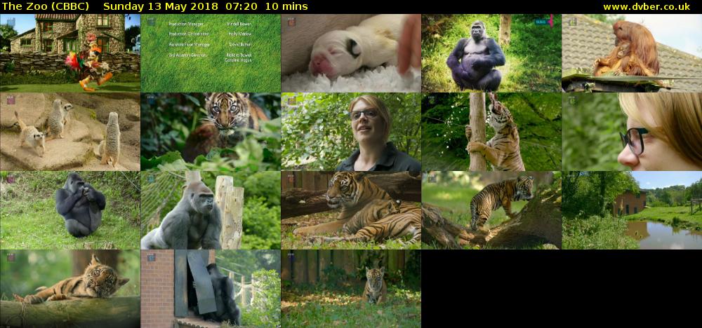 The Zoo (CBBC) Sunday 13 May 2018 07:20 - 07:30