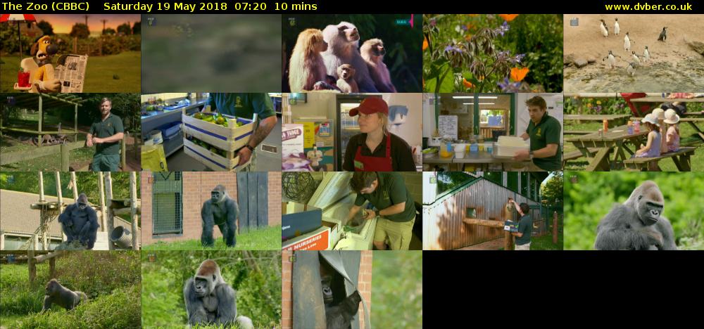 The Zoo (CBBC) Saturday 19 May 2018 07:20 - 07:30