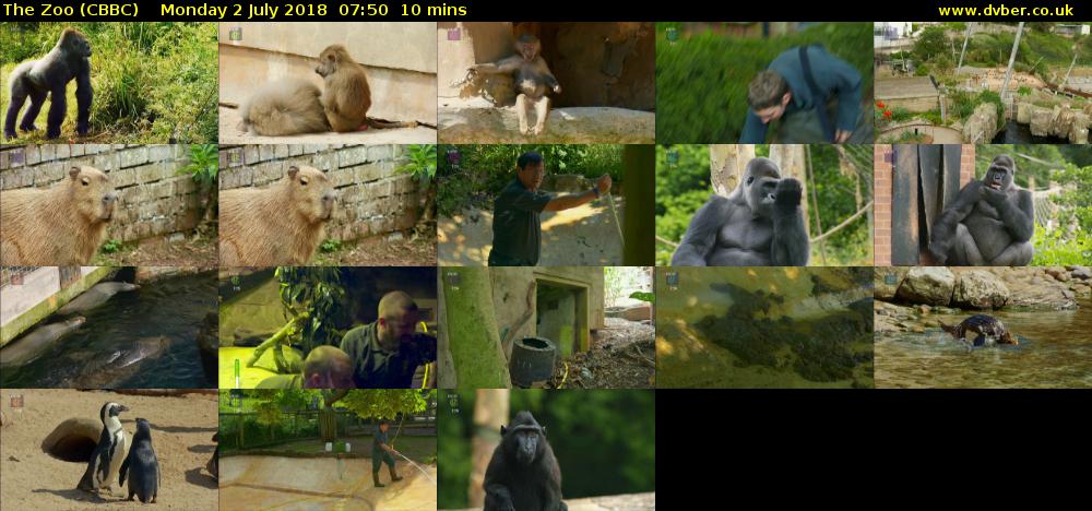 The Zoo (CBBC) Monday 2 July 2018 07:50 - 08:00