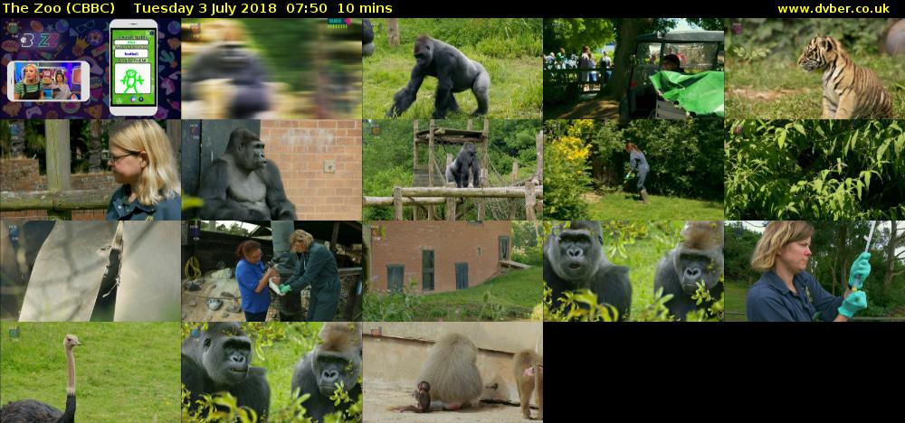 The Zoo (CBBC) Tuesday 3 July 2018 07:50 - 08:00