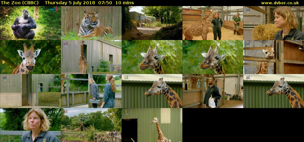 The Zoo (CBBC) Thursday 5 July 2018 07:50 - 08:00