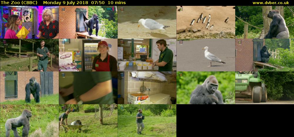The Zoo (CBBC) Monday 9 July 2018 07:50 - 08:00