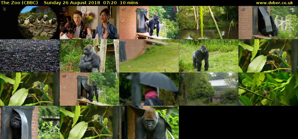 The Zoo (CBBC) Sunday 26 August 2018 07:20 - 07:30