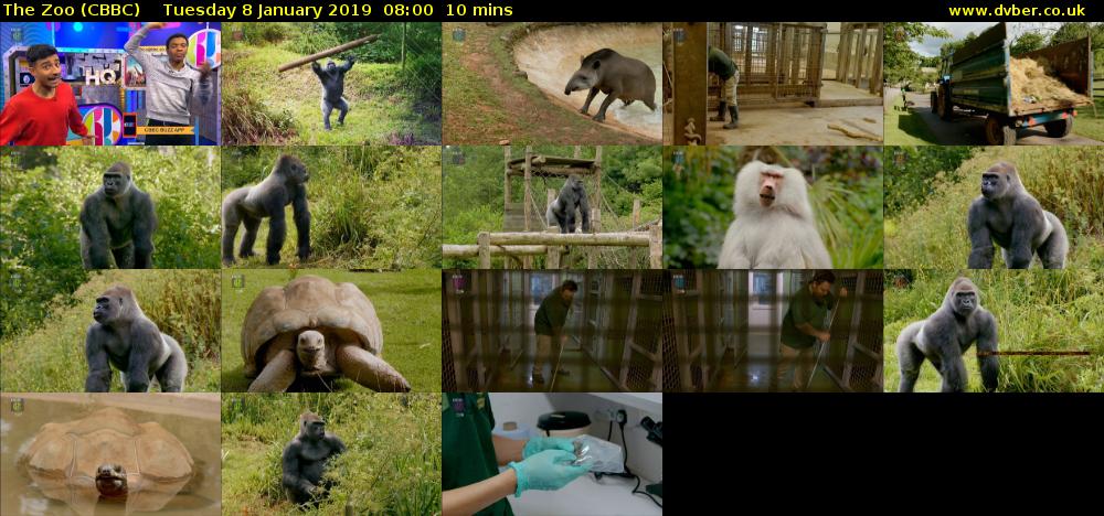 The Zoo (CBBC) Tuesday 8 January 2019 08:00 - 08:10