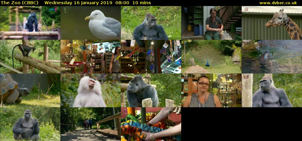 The Zoo (CBBC) Wednesday 16 January 2019 08:00 - 08:10