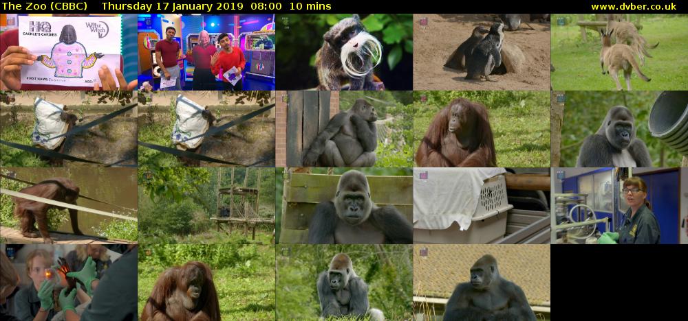 The Zoo (CBBC) Thursday 17 January 2019 08:00 - 08:10