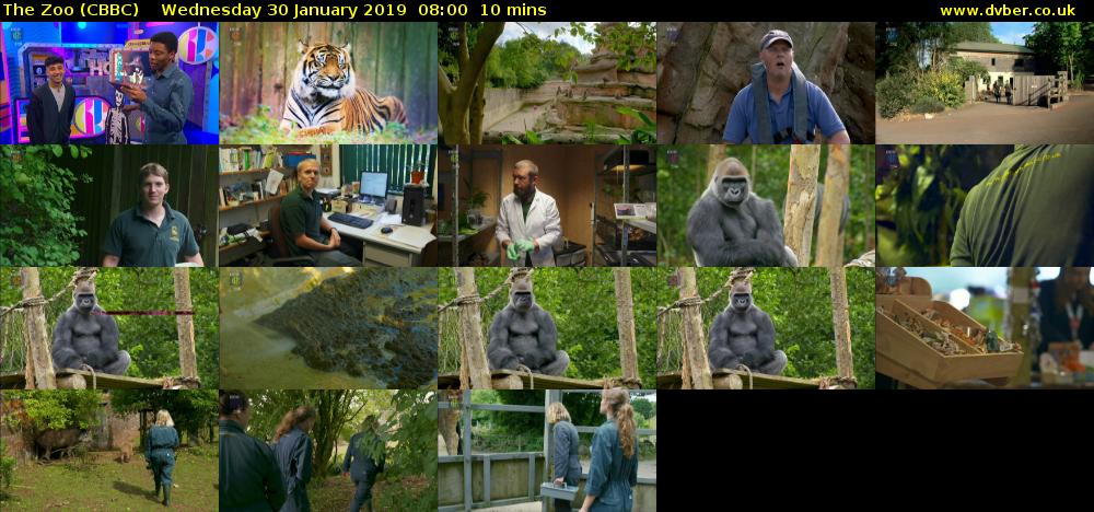 The Zoo (CBBC) Wednesday 30 January 2019 08:00 - 08:10