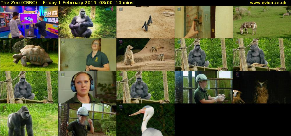 The Zoo (CBBC) Friday 1 February 2019 08:00 - 08:10