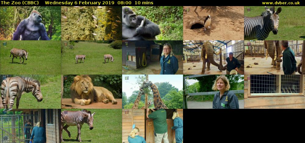The Zoo (CBBC) Wednesday 6 February 2019 08:00 - 08:10